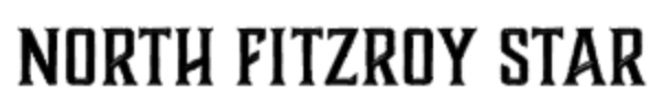 Sydney Based North Fitzroy Star Online Magazine To Commence Features On Unusual Consultants in Art Related Roles